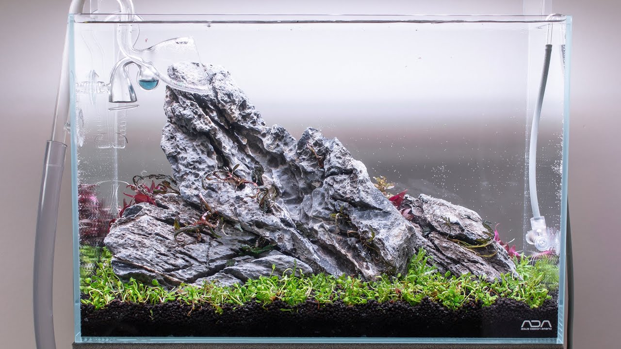 Step by Step ADA 45p Aquascape