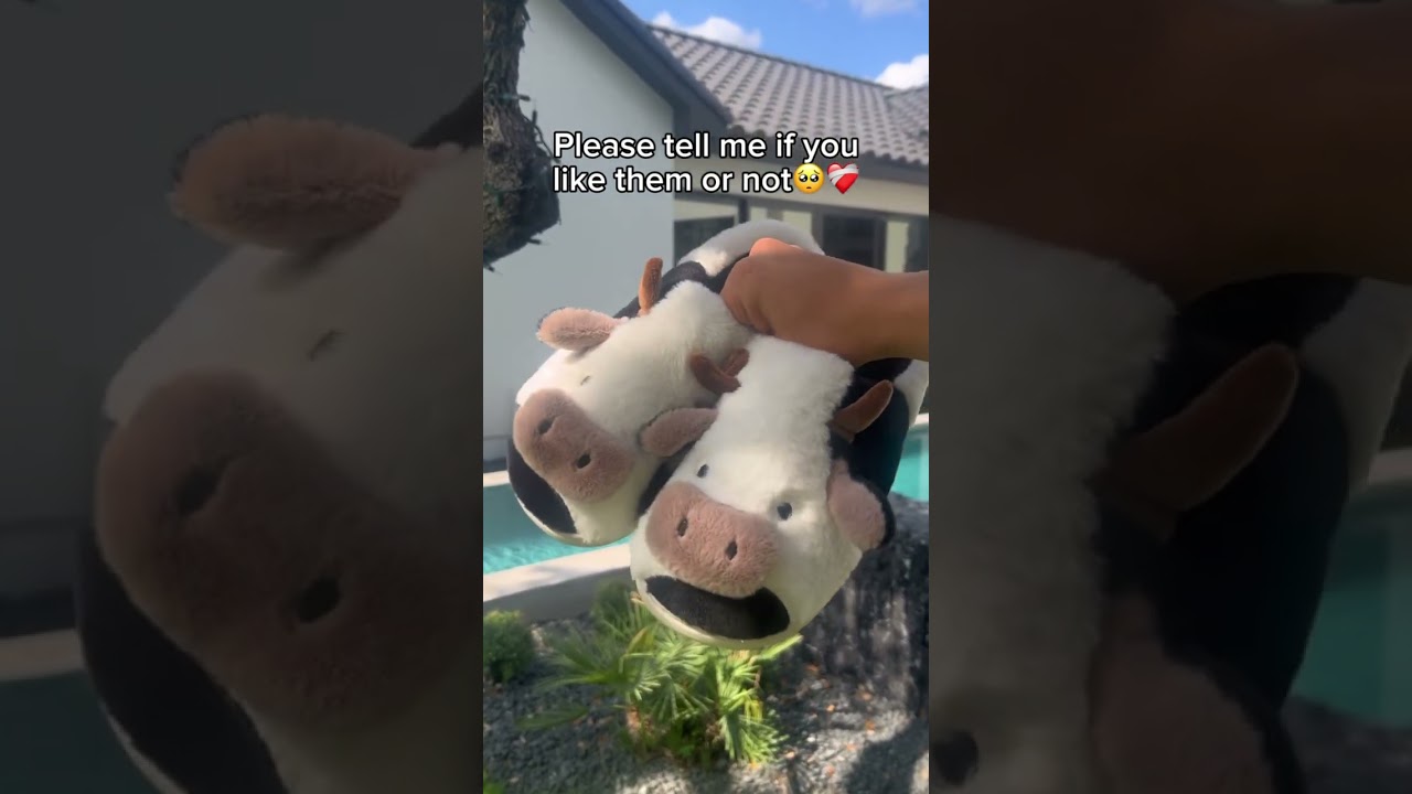 Please comment to boost this post❤️ #slippers #cow #goshelter