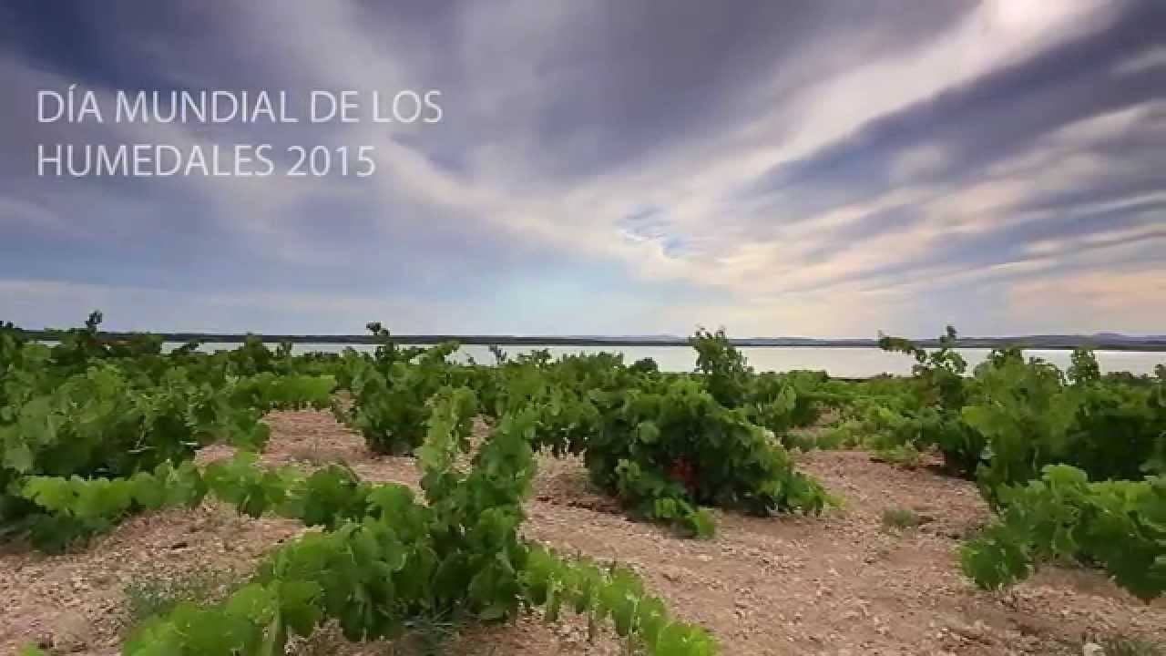 Parque Natural de las Lagunas de La Mata y Torrevieja