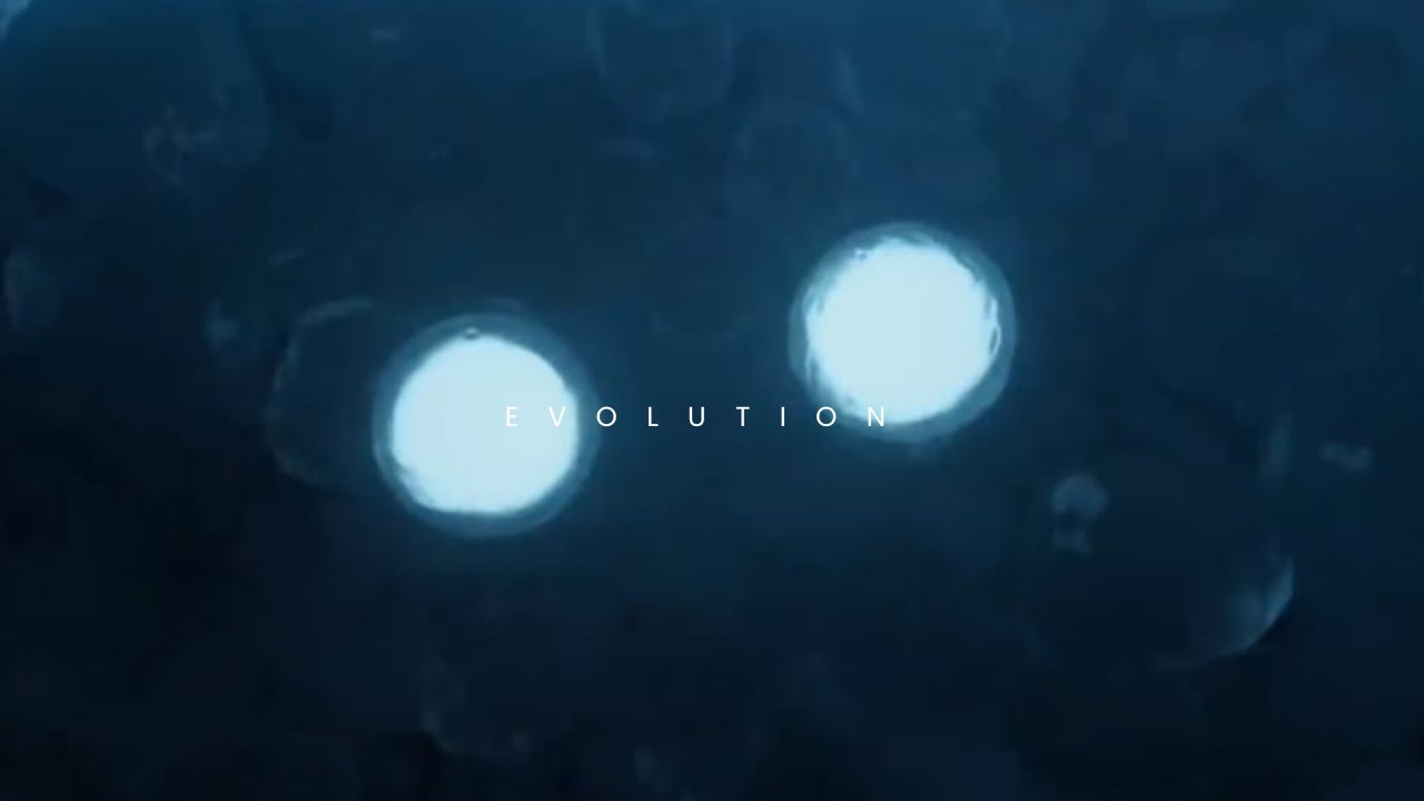GALOORE - EVOLUTION (Ft. Enya) // Original Music Video