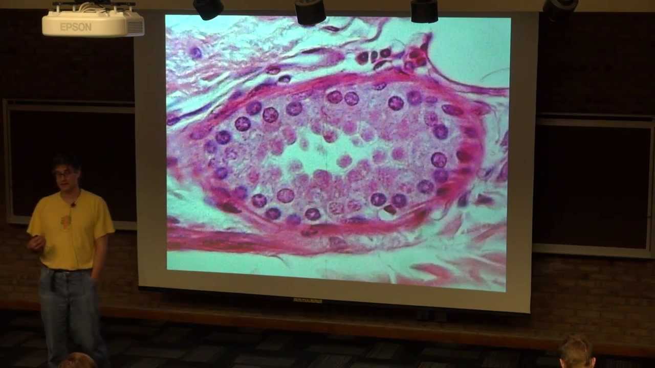 Quick Introduction to the Concept of Cell Biology