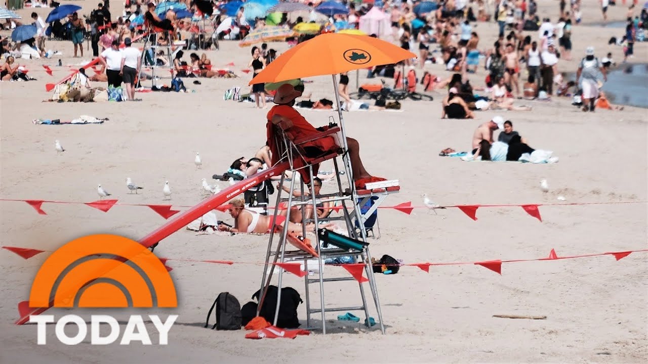 Swimmers, lifeguards on high alert after rise in shark encounters