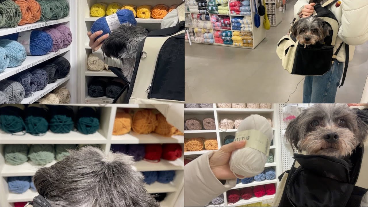 새해 첫 도전! 겨울 끝나기 전에 뚠이 목도리 떠주기🧶