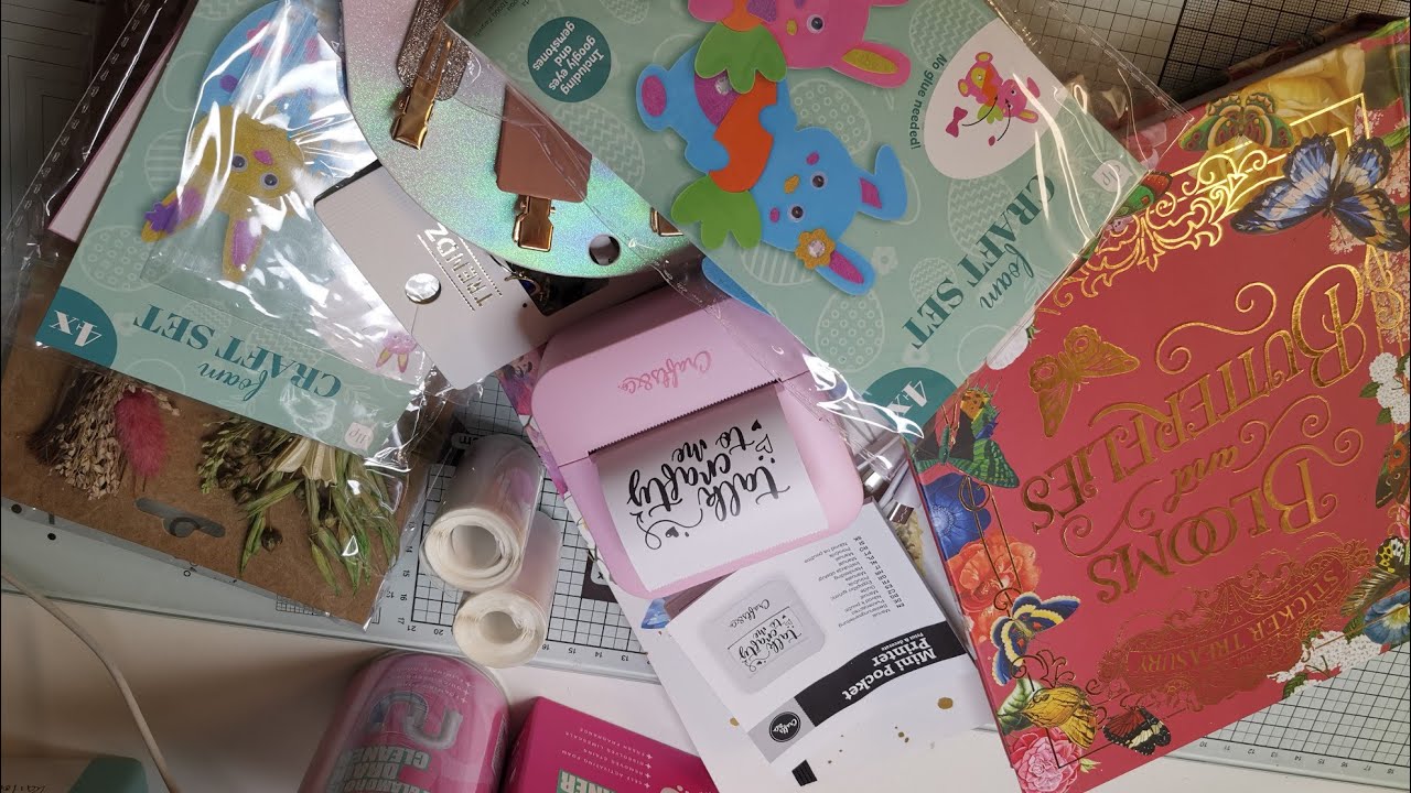 Ich war shoppen! 🛒 XXL-Haul von Amazon, Action, TEDi & TEMU