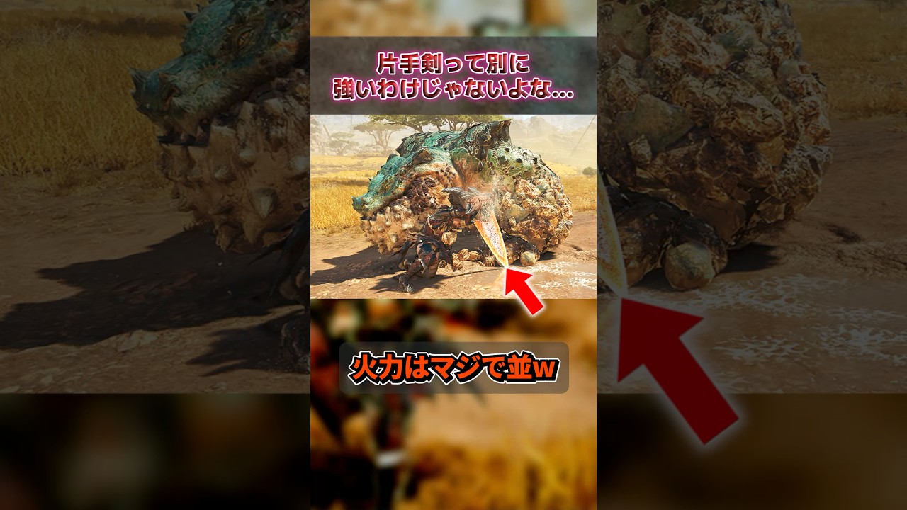 片手剣って別に強いわけじゎないよね...