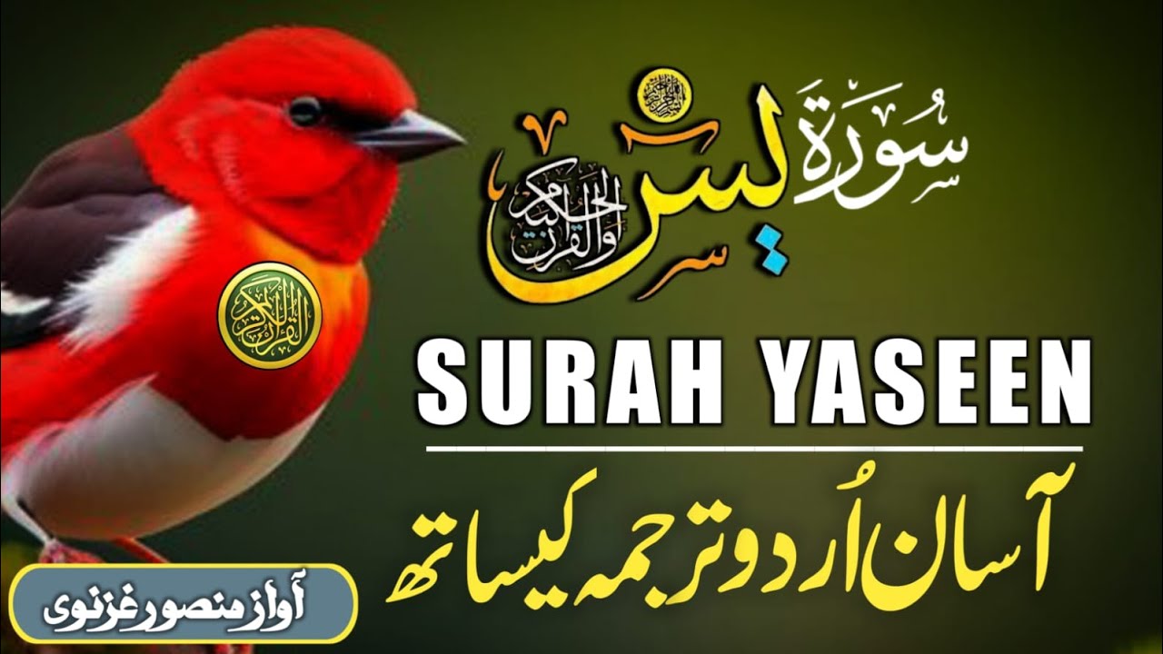 Surah Yaseen With Urdu Translation By Qari Mansoor Ghaznawi I Urdu And Hindi Tarjuma