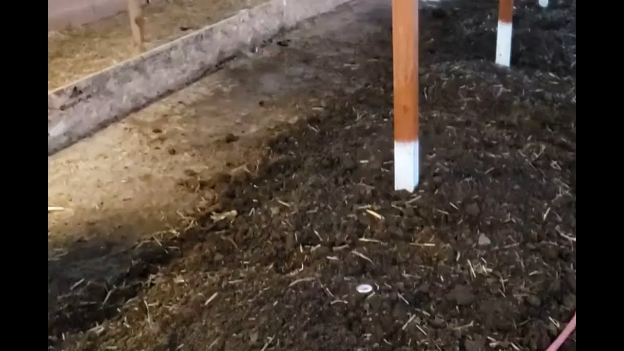 Spring is almost here so it's time to reactivate the worm farm! - Testing our new worm food!