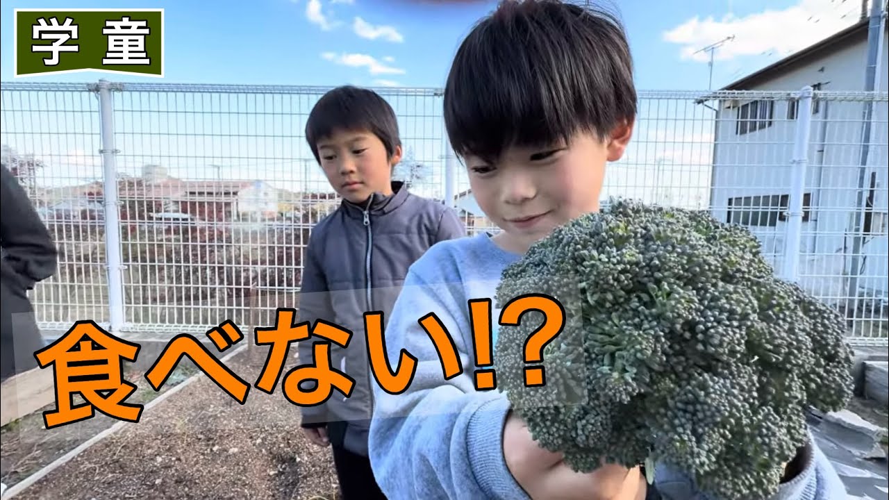ブロッコリーをせっかく収穫したのに⁉︎