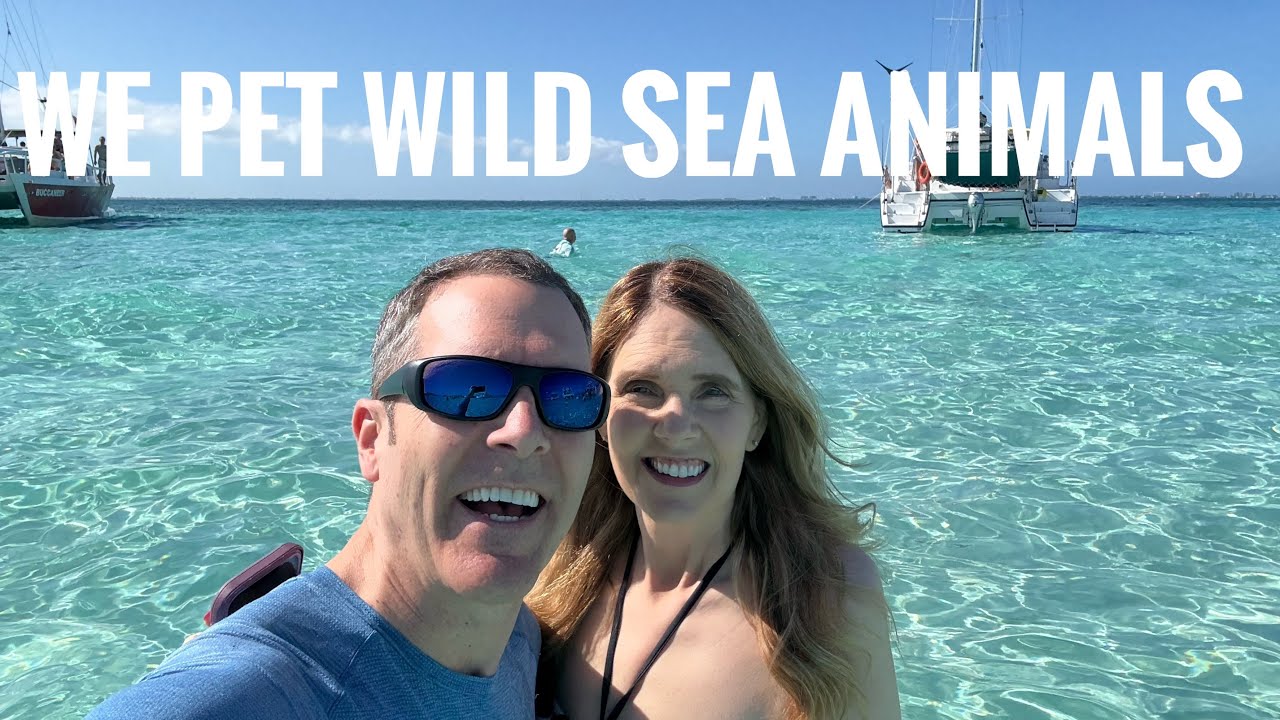 Stingray City Sandbar | Swimming in Grand Cayman | 4K