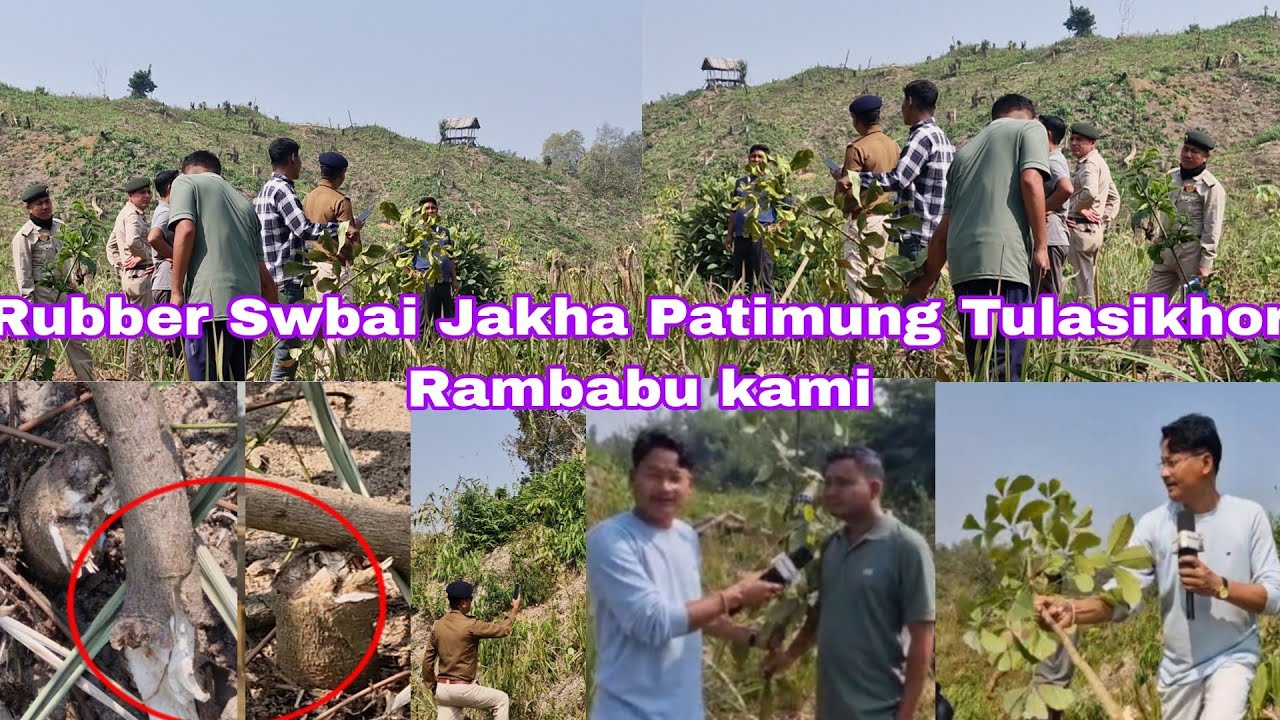 Rubber Swbai Jakha Sankar DB Patimung Champa hawar PS Tulasikhor Rambabu Kami 