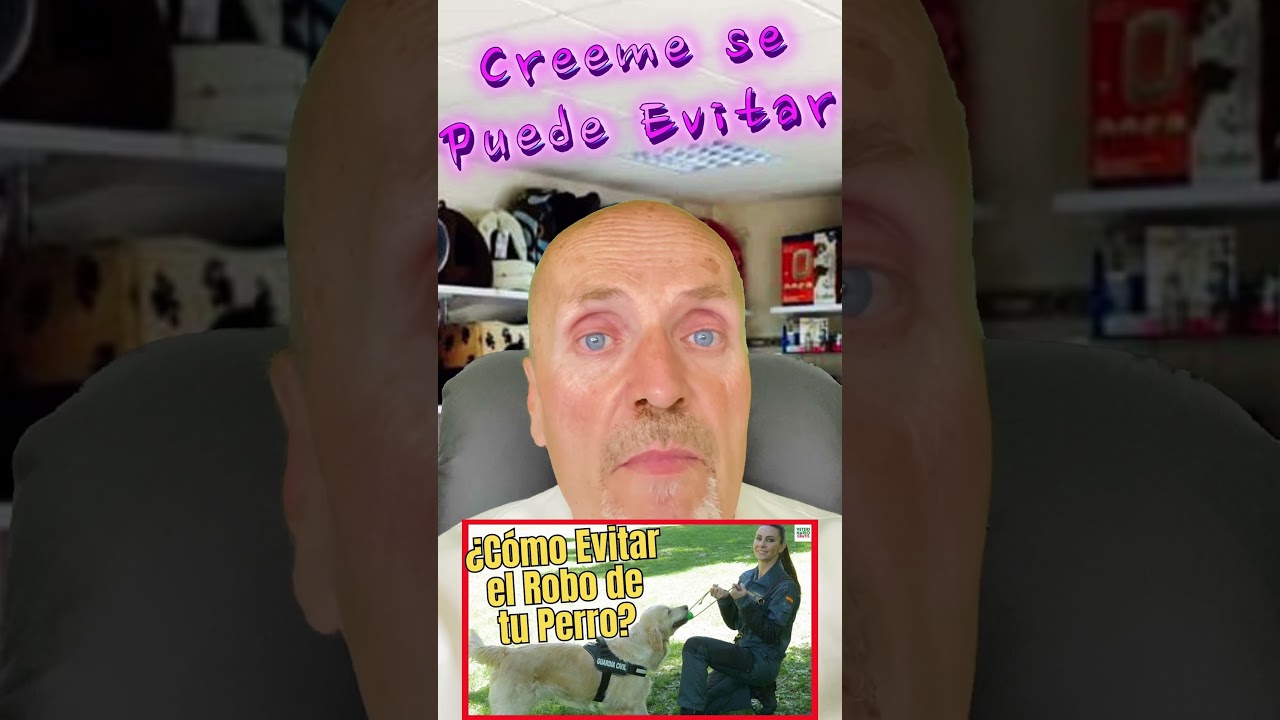 🚨 &iquest;C&Oacute;MO EVITAR EL ROBO O SECUESTRO DE PERROS? 🚨