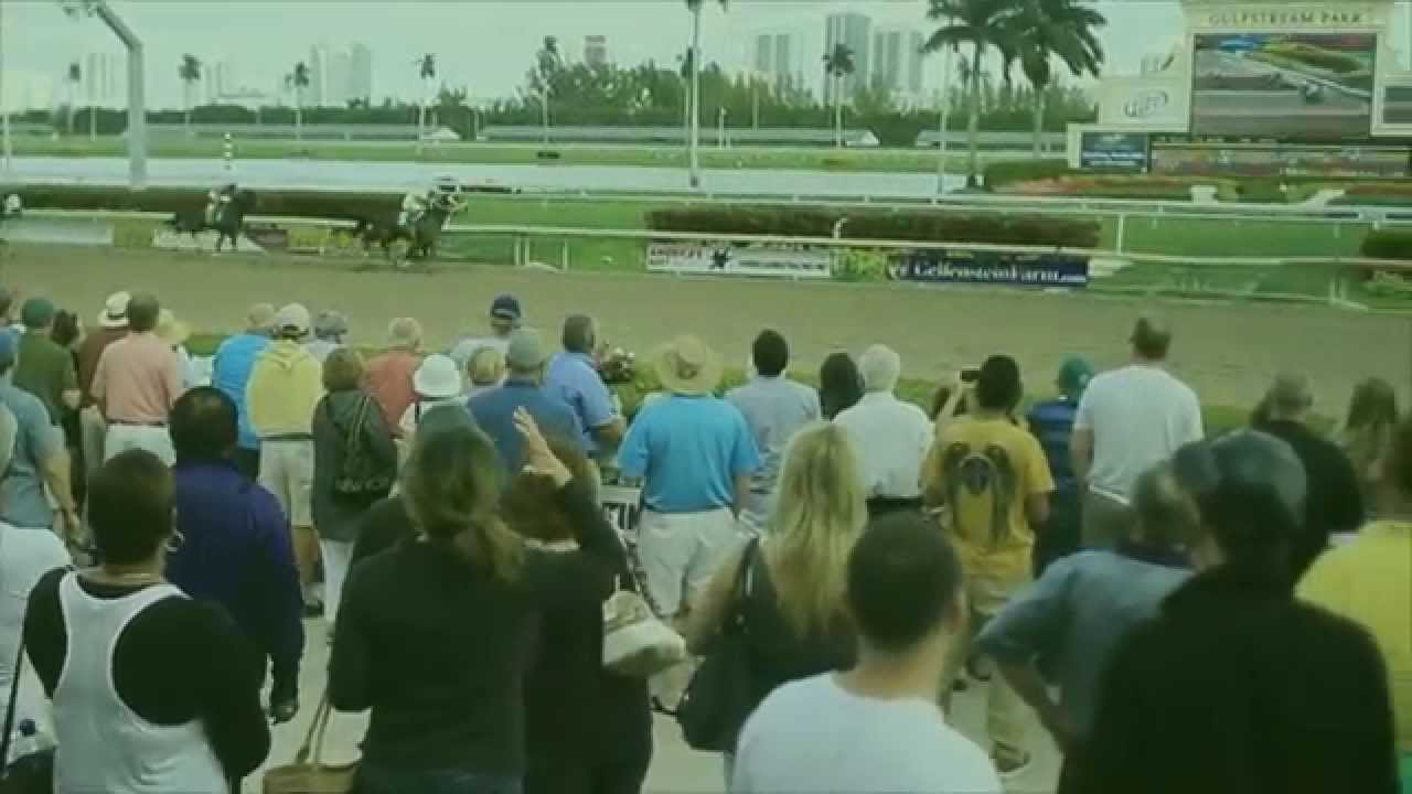 Shparkem Park Productions - 