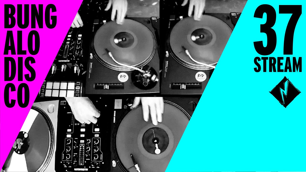 Bicep, Franz Scala, Zombies in Miami, Kendal, Jennifer Cardini, Machinegewehr, Agle, Black Spuma #37