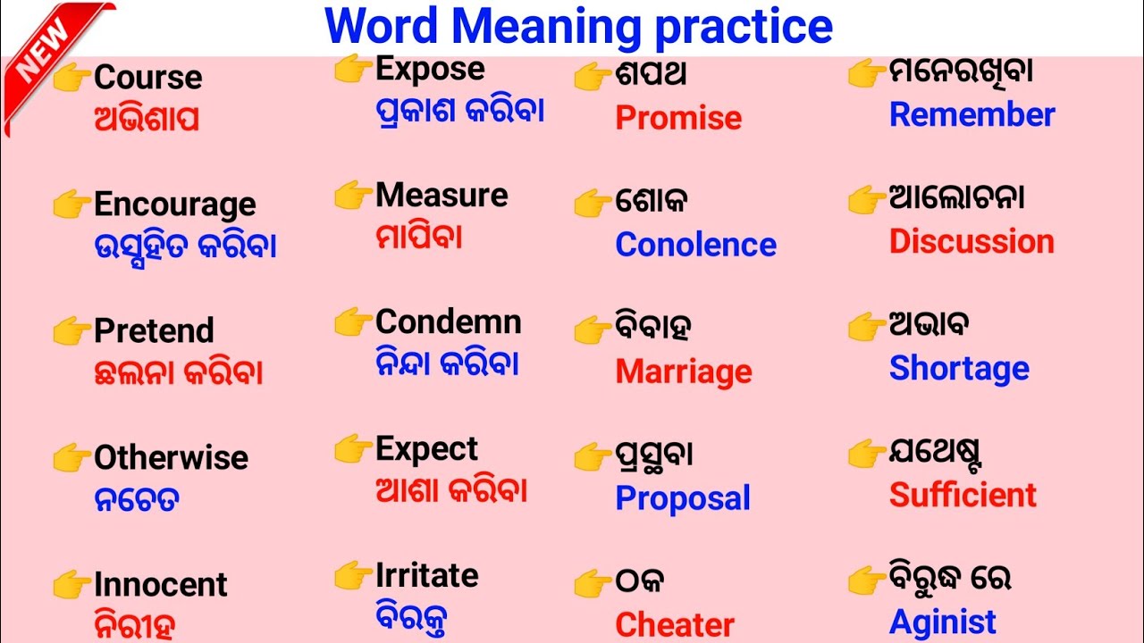 Most Important Words meaning practice Odia To English / Odisha education point / Word meaning 
