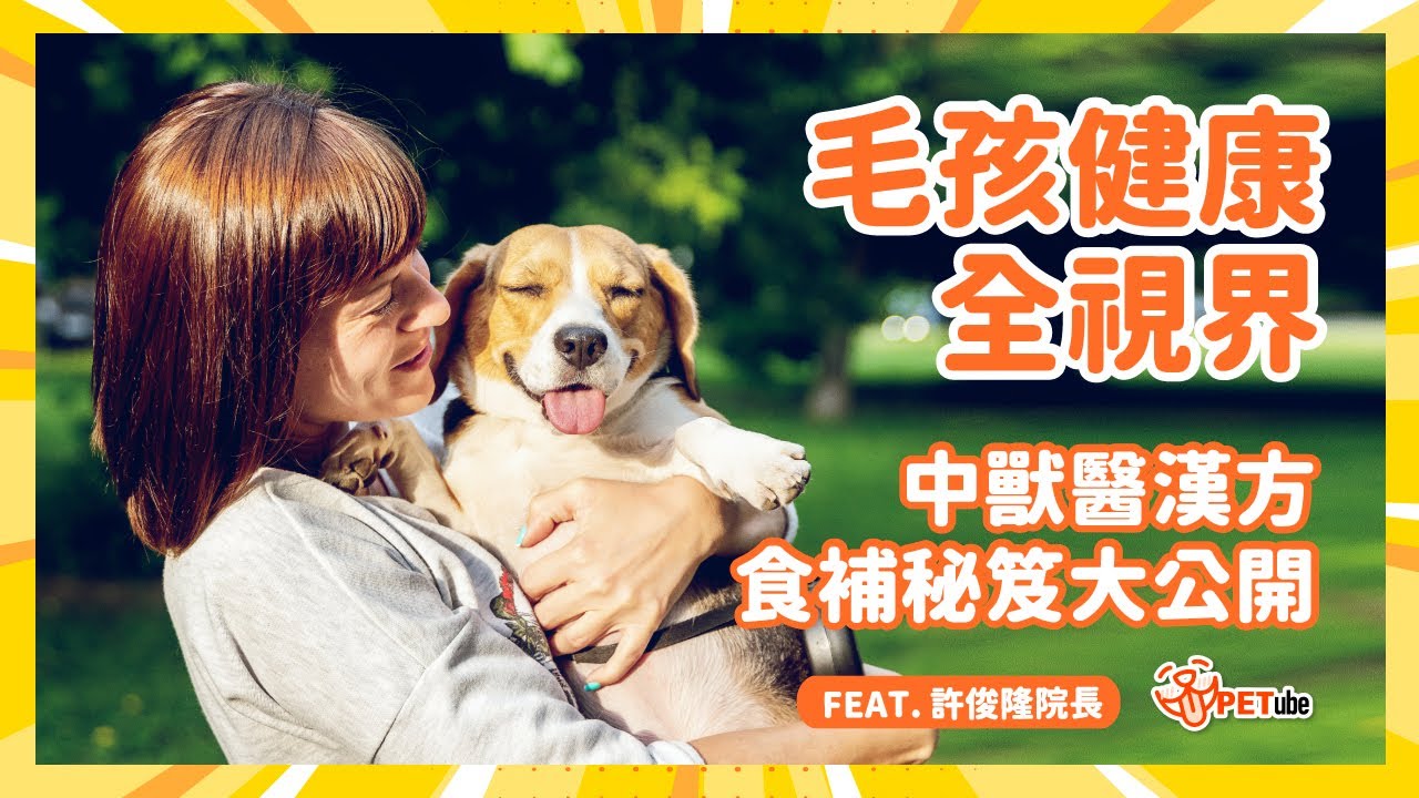 毛孩健康全視界：中獸醫漢方食補秘笈大公開 feat. 許俊隆院長【哈寵小學堂】｜#哈寵PETube 第282集