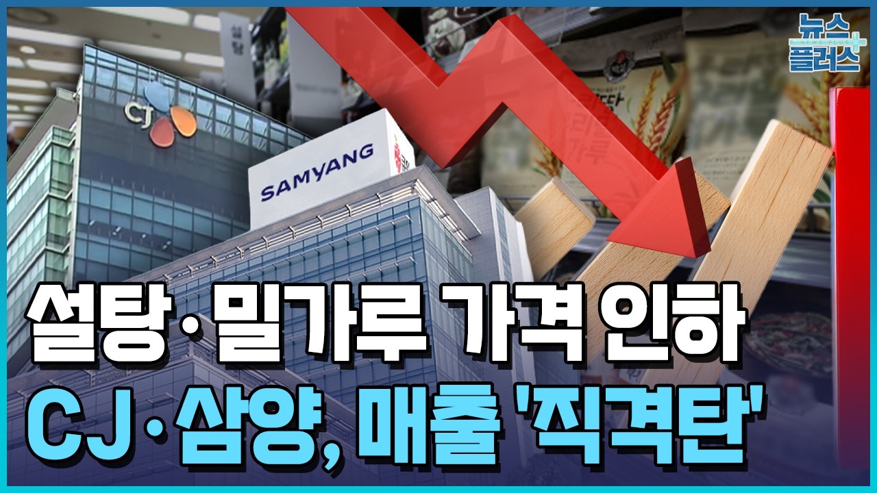 정부 압박에 도미노 인하…CJ·삼양, 매출에 직격탄 / 한국경제TV뉴스