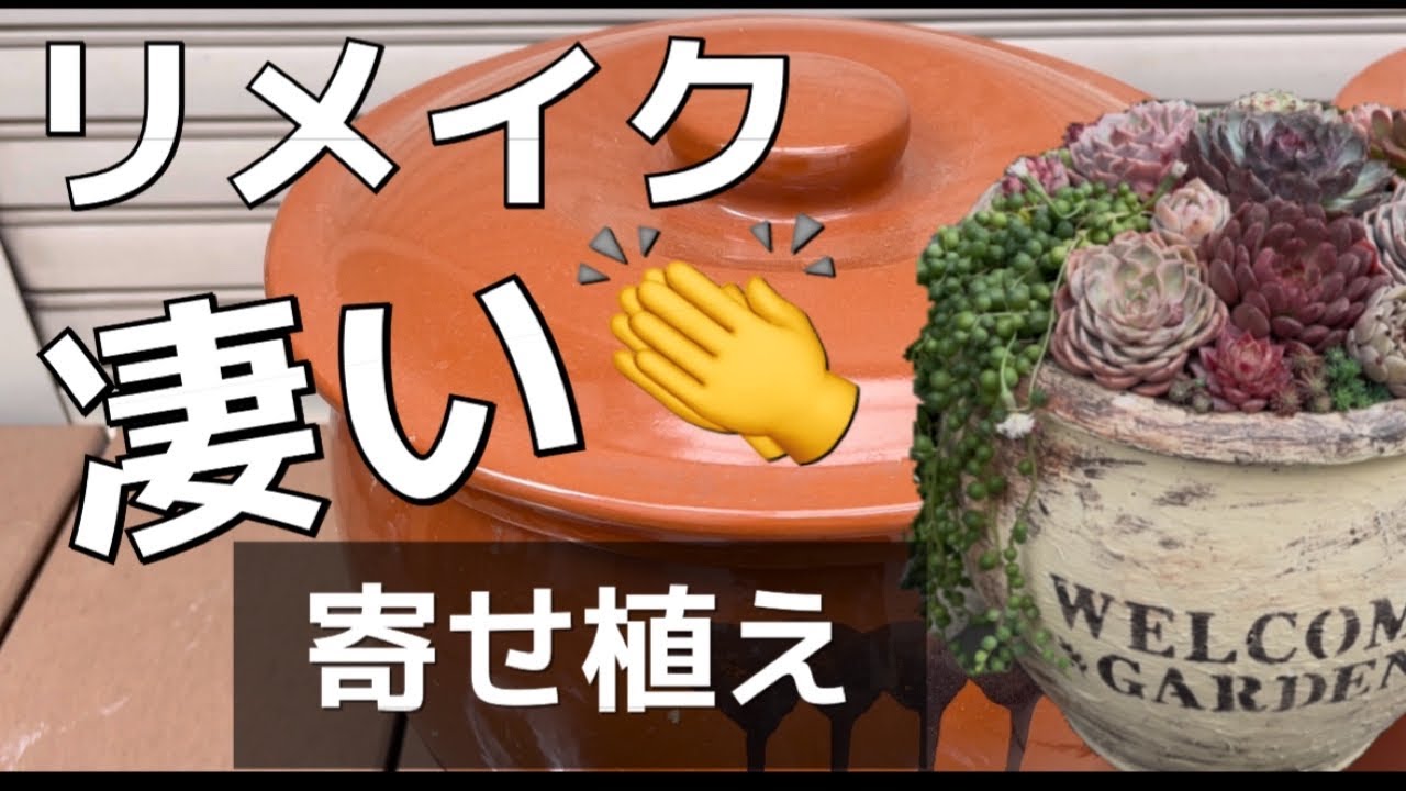 【漬物の壺が鉢に変身🪴】リメイクでここまで変わる🤩色鮮やか多肉植物たち😍 