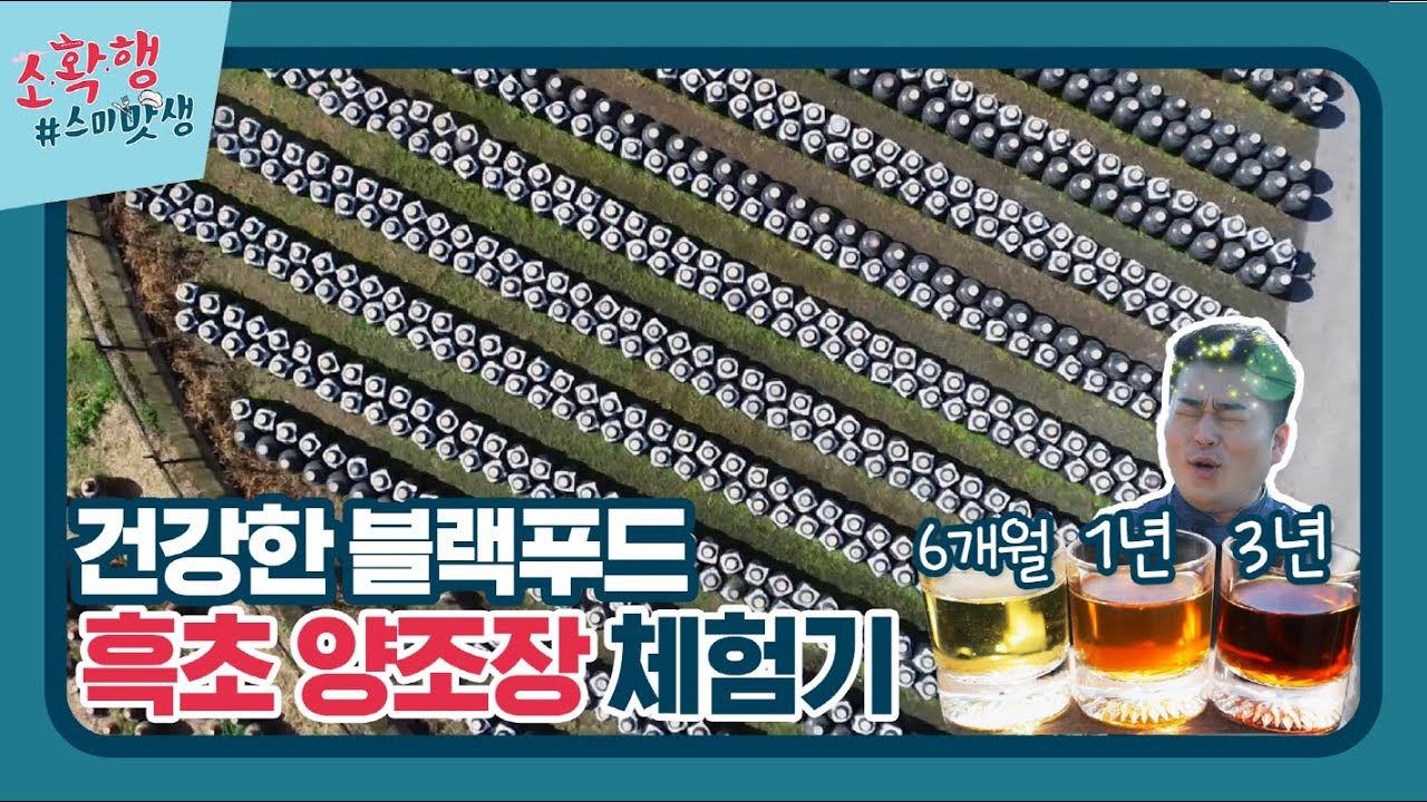 이게 다 항아리? 발효 식초에 대해 알아보자!