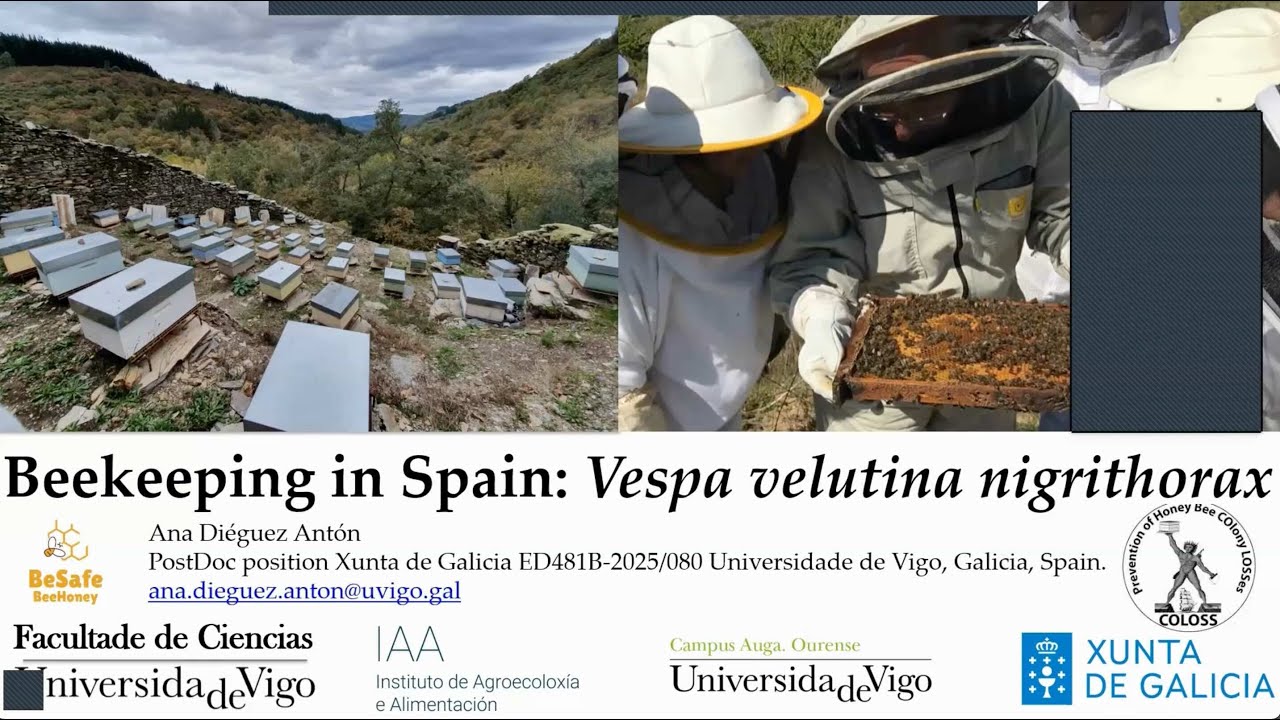 Beekeeping in Spain vs. Canada and the impact of the invasive hornet Vespa Velutina