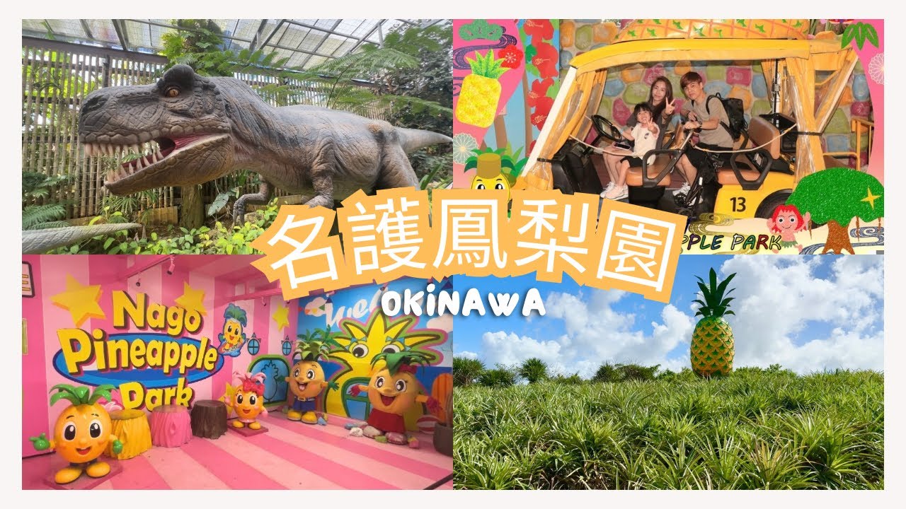 【沖繩親子遊#3】名護鳳梨園| 超推的沖繩親子行程 | 瀨底島玻璃船