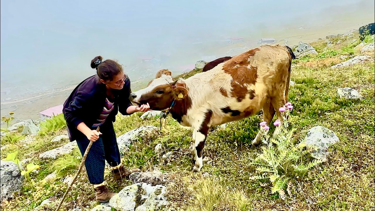 The Hard but Peaceful Life of a 20-Year-Old in a Mountain Stone House 🏔️🧀