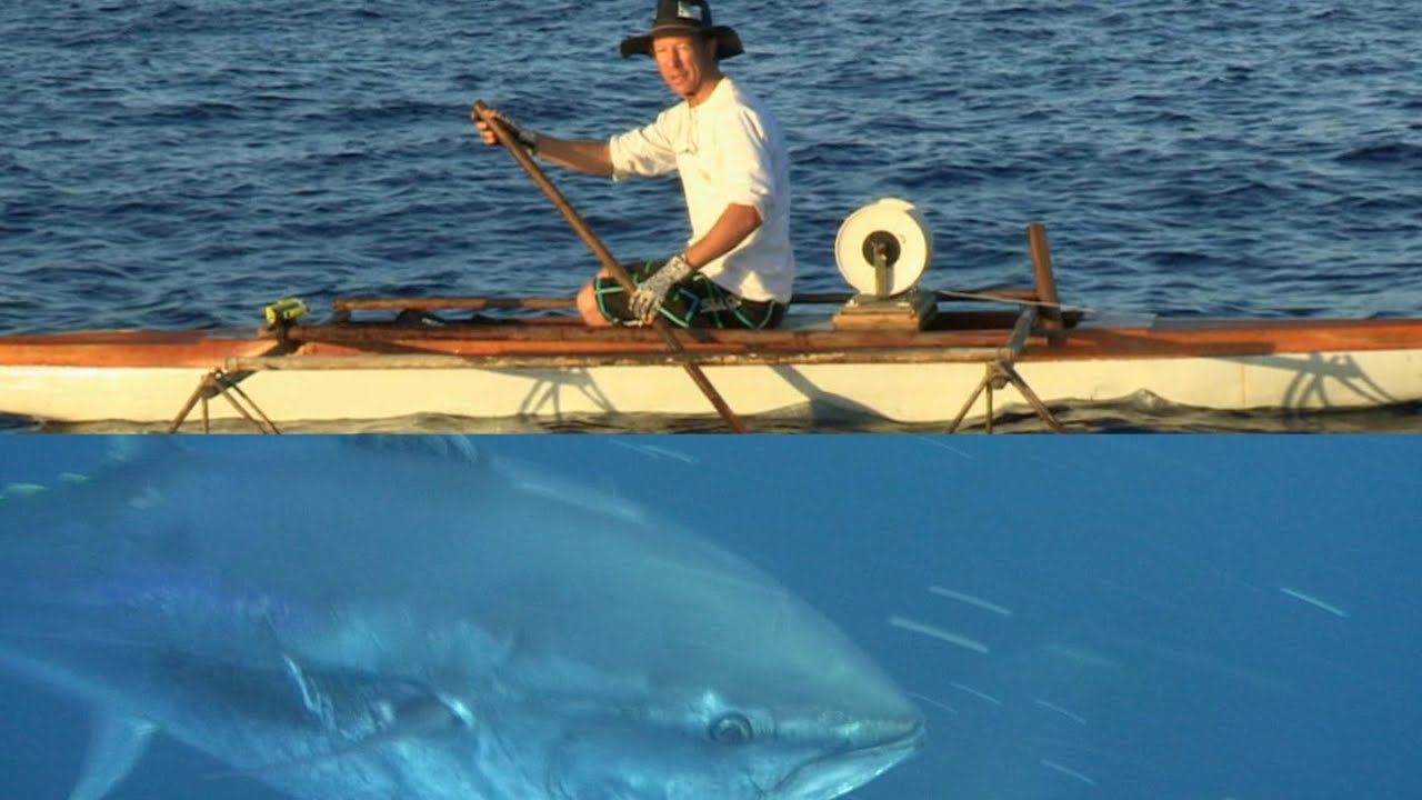 A Canoe, a Hand line and an 800lb tuna!