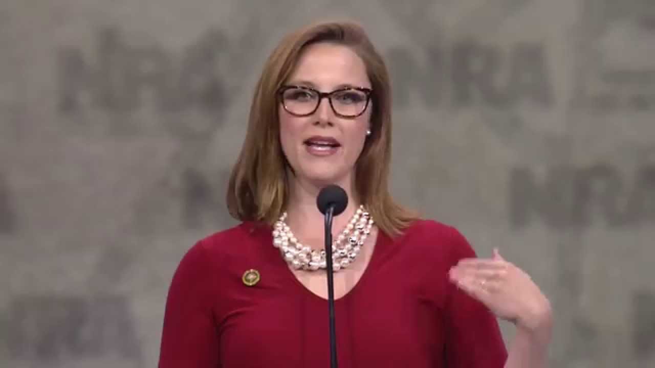S.E. Cupp: 2015 NRA-ILA Leadership Forum