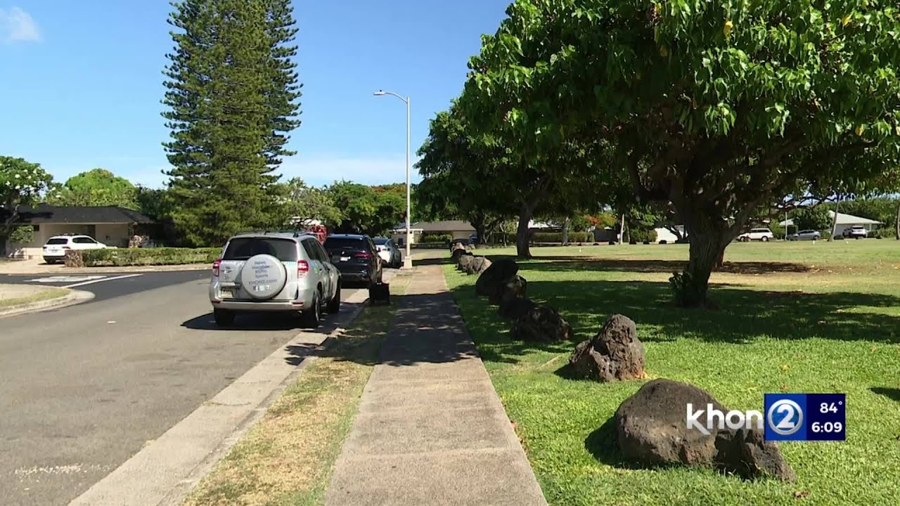 Tree for Honolulu City Lights selected