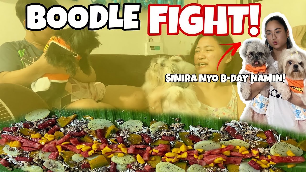 BOODLE 