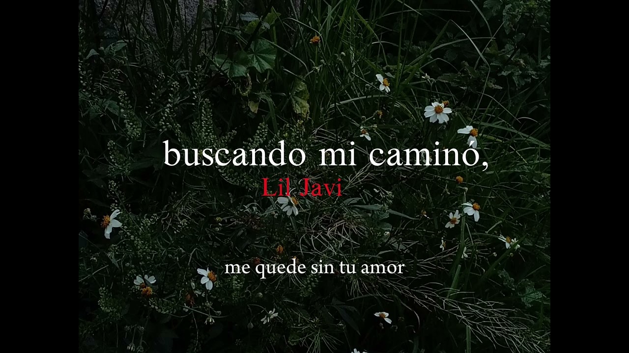 buscando mi caminó, - Lil Javi ☆