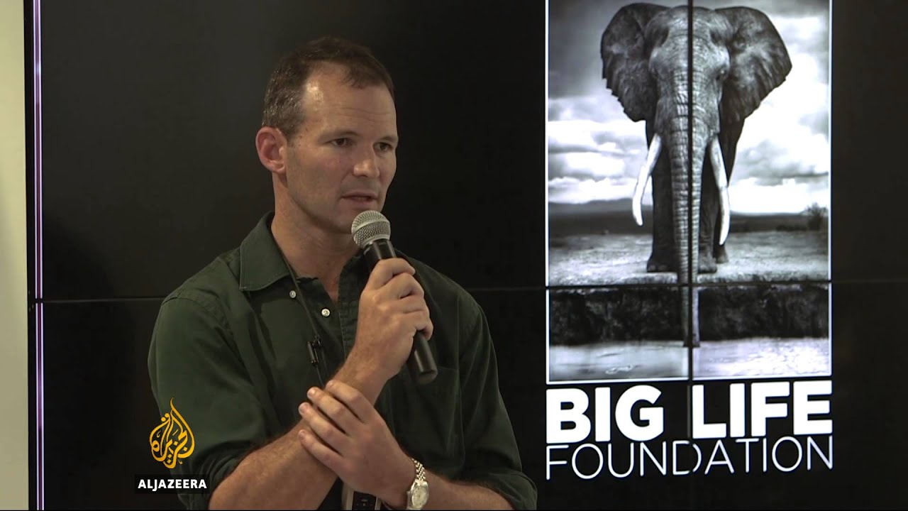 'One man mission' to ban ivory trade in Hong Kong