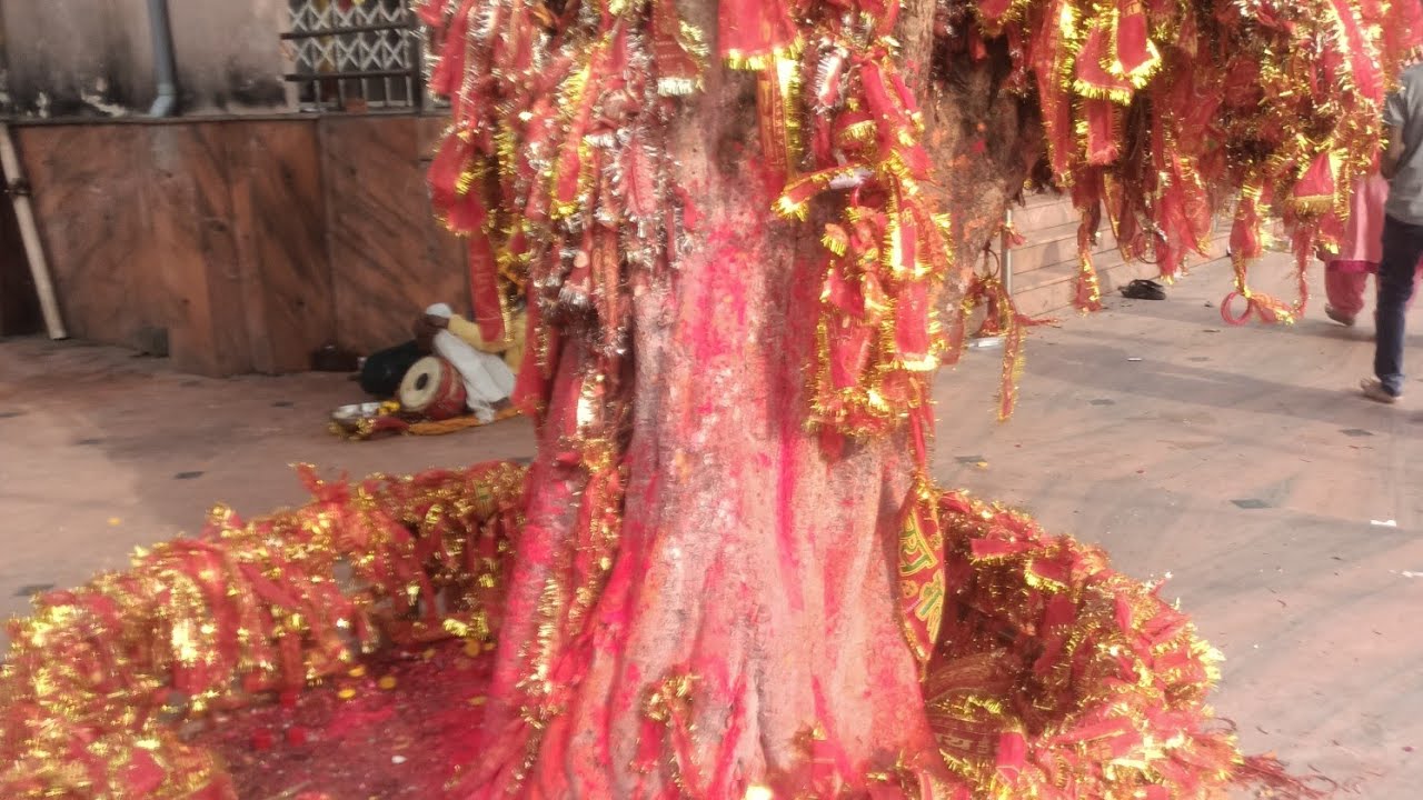 Jai Mata Di 🙏🌺