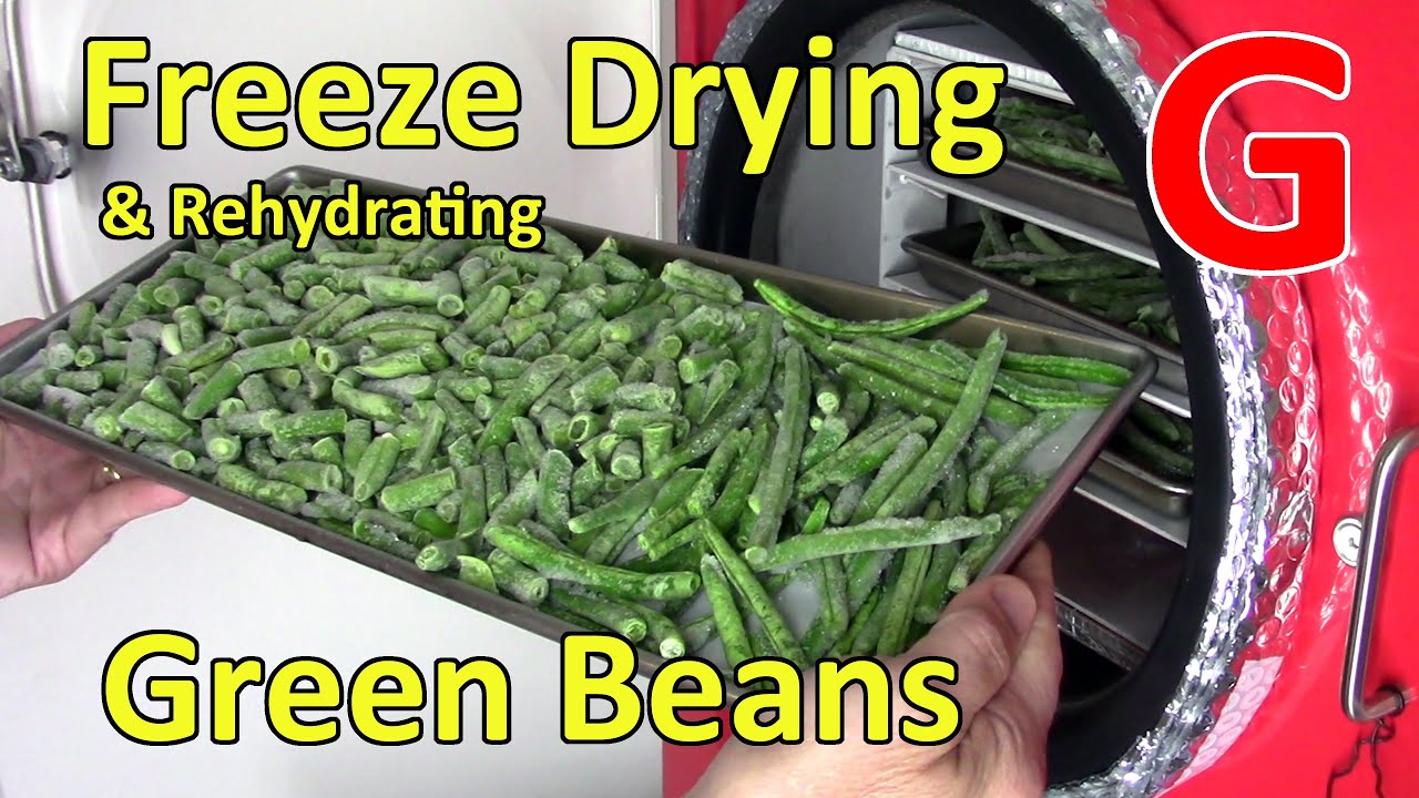 Freeze Drying Green Beans