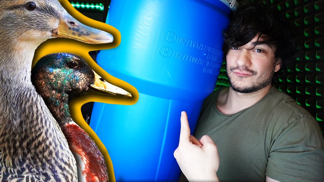 The BEST Swirl Filter DIY! Duck Muck Solution???
