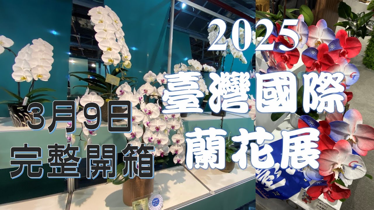 2025年臺灣國際蘭花展