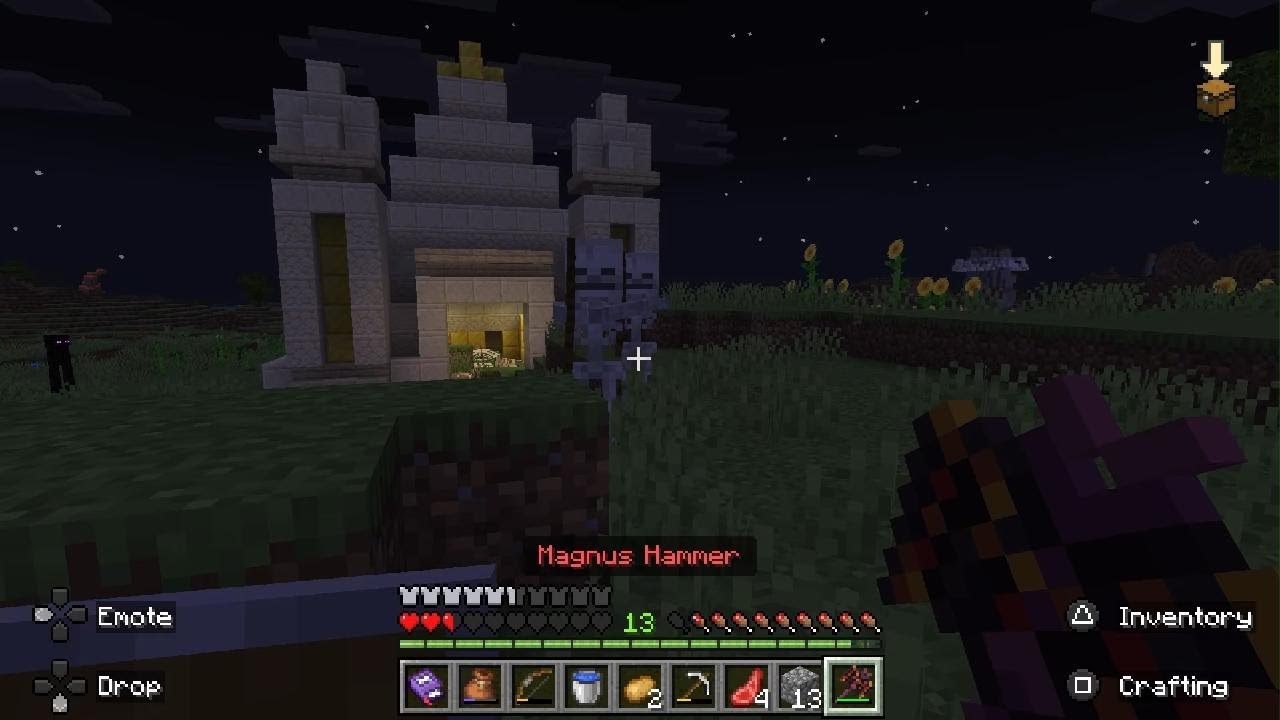 Minecraft_6