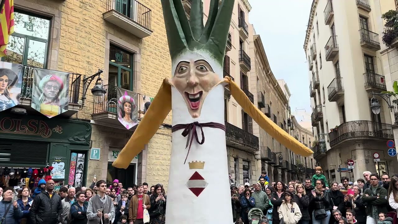 Ball del gegant Calçot de Valls | Festes de Sant Josep Oriol 2024 #SJO24 #gegants