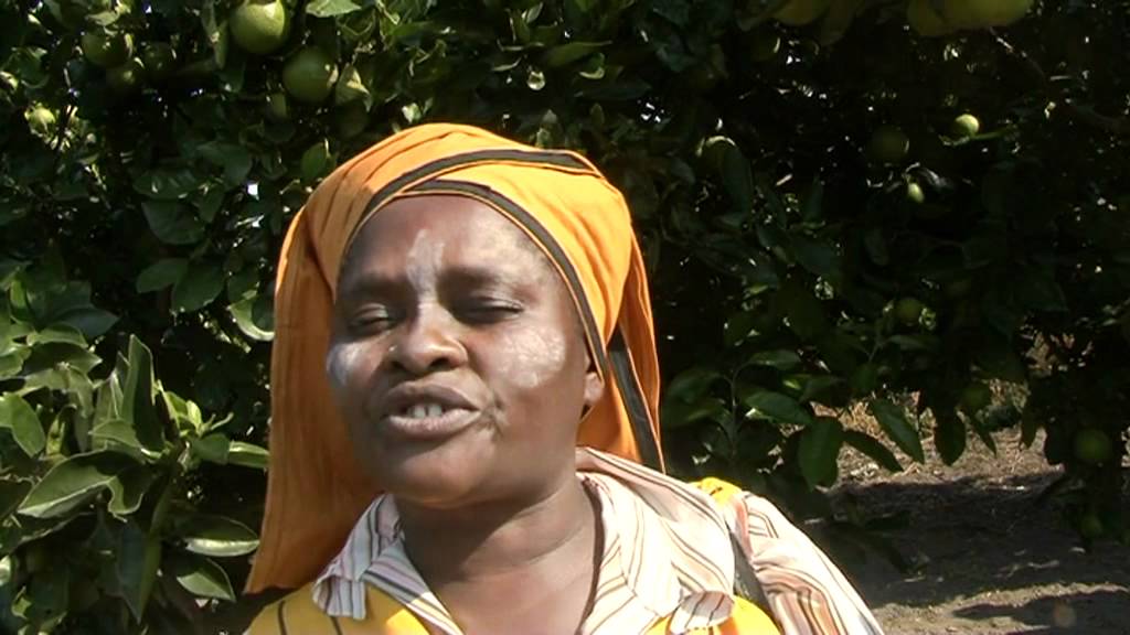 Subtropical fruit farming in Eastern Cape