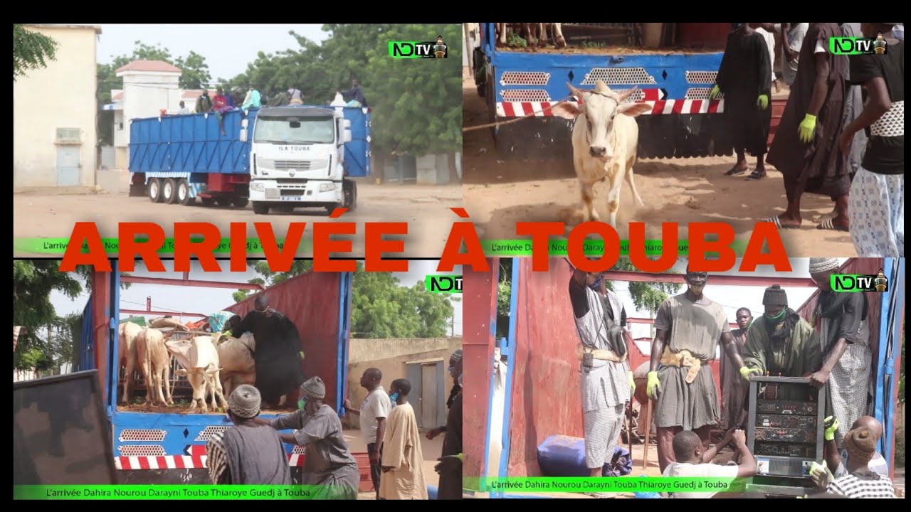 l'arriv&eacute;e Dahira Nourou Darayni Touba Thiaroye Guedj &agrave; Touba