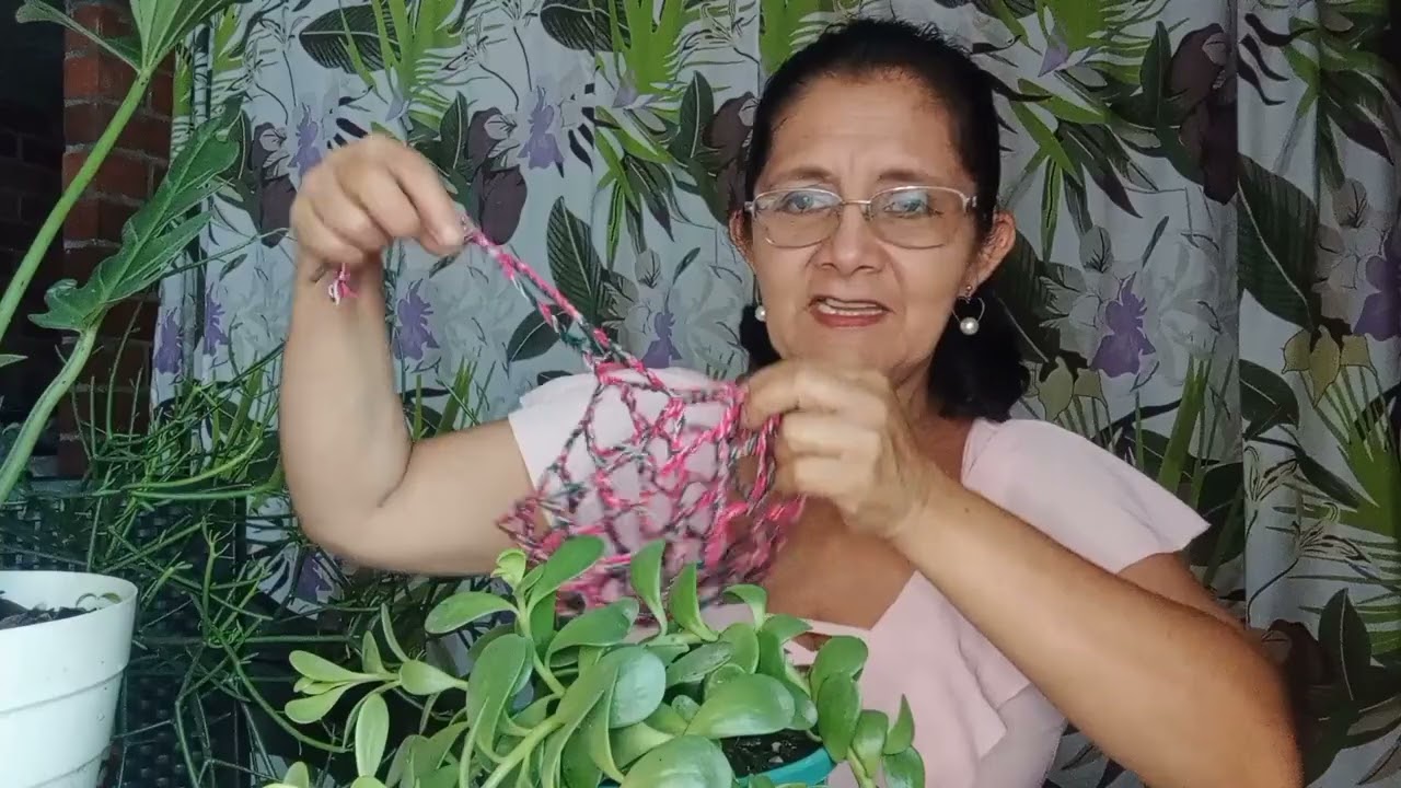 cómo cuido mi senecio jacobsenii #plantas #sustrato #flores