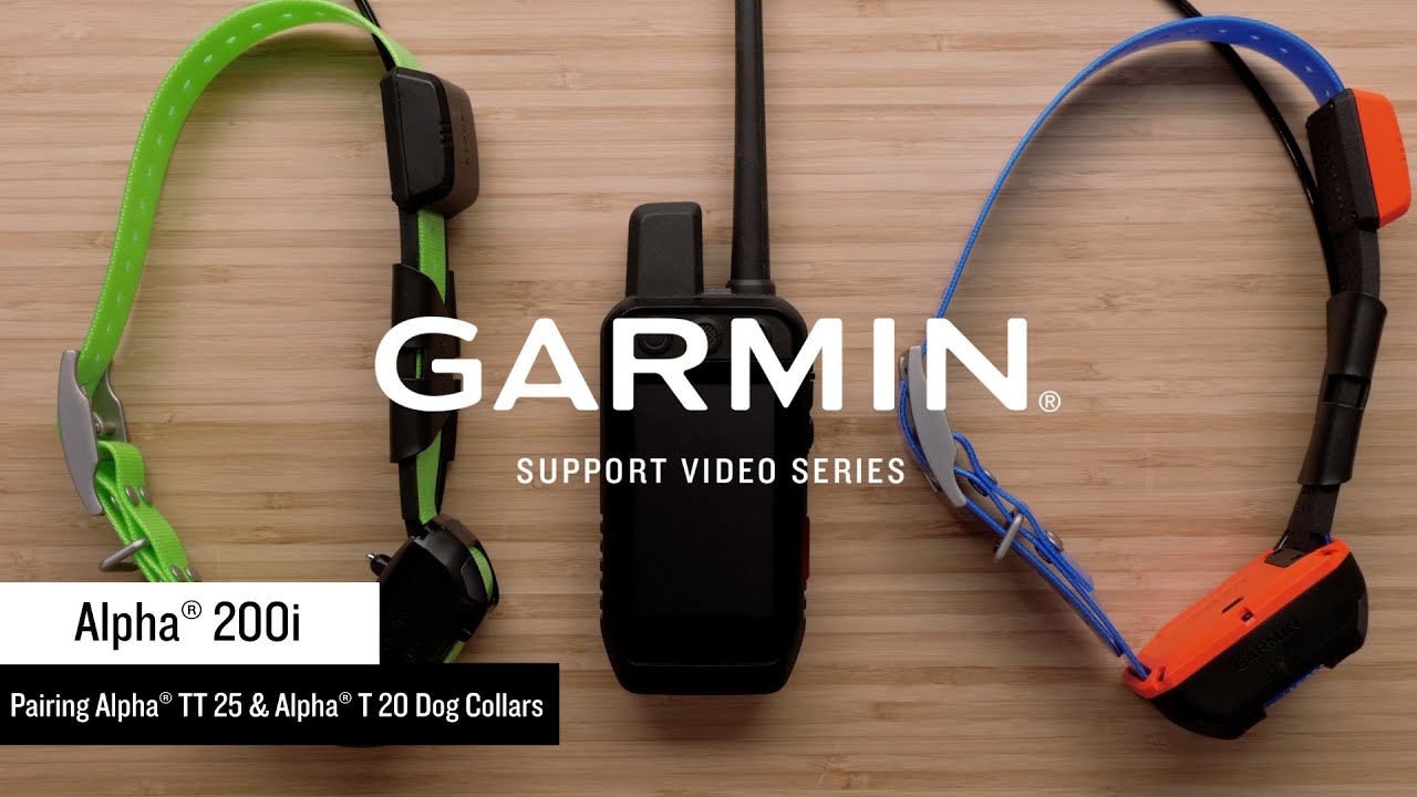 Поддержка Garmin | Серия Alpha® 200 | Сопряжение с ошейником Alpha® TT 25 или T 20