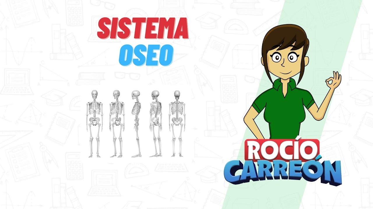 SISTEMA ÓSEO