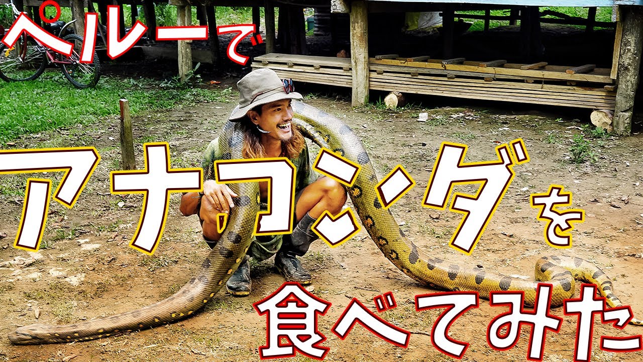 【ゲテモノ】アナコンダを食べてみた！その食味は？