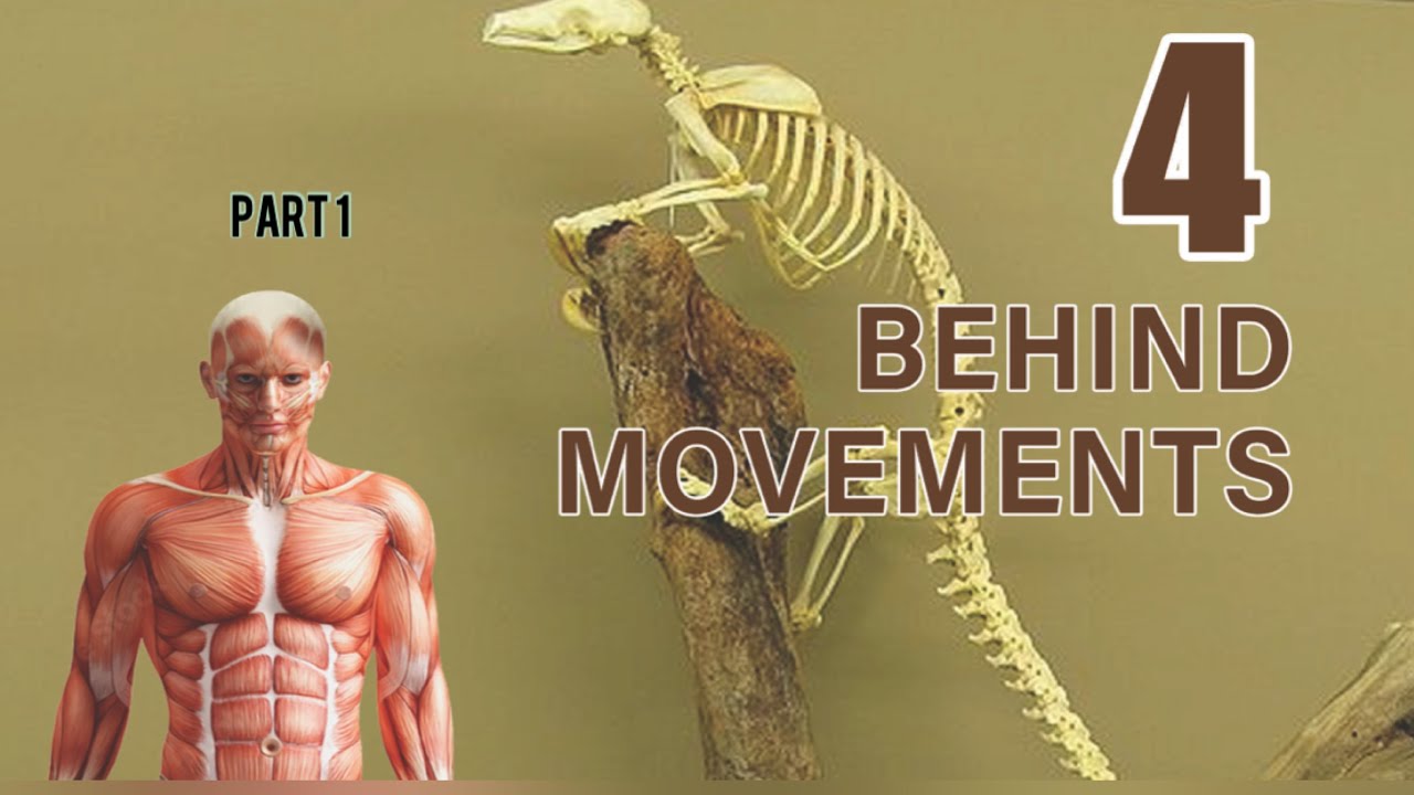 Behind Movements: Class 9 biology chapter 4 / kerala syllabus part 1