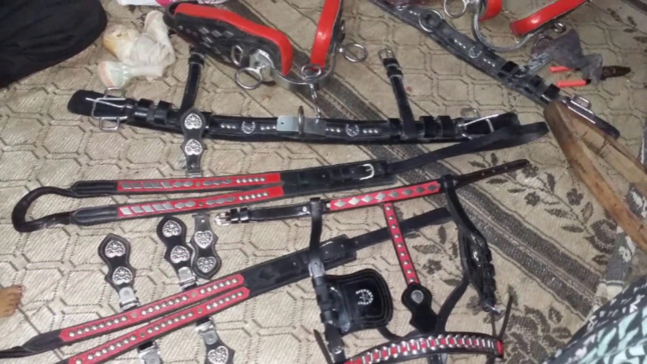 Horse riding equipment