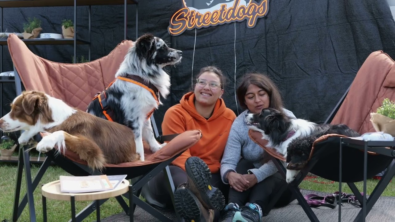 🎥 Rückblick: Streetdog Lounge auf dem Dachzelt Festival 2025