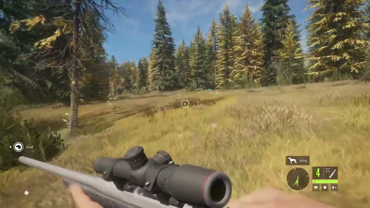 theHunter: Call of the Wild_20260212080448
