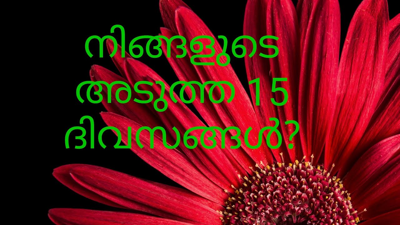നിങ്ങളുടെ അടുത്ത 15 ദിവസങ്ങൾ 