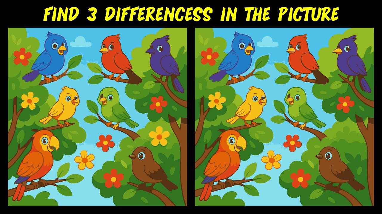 CAN YOU FIND 3 DIFFERENCES IN THESE PICTURES? - part 13