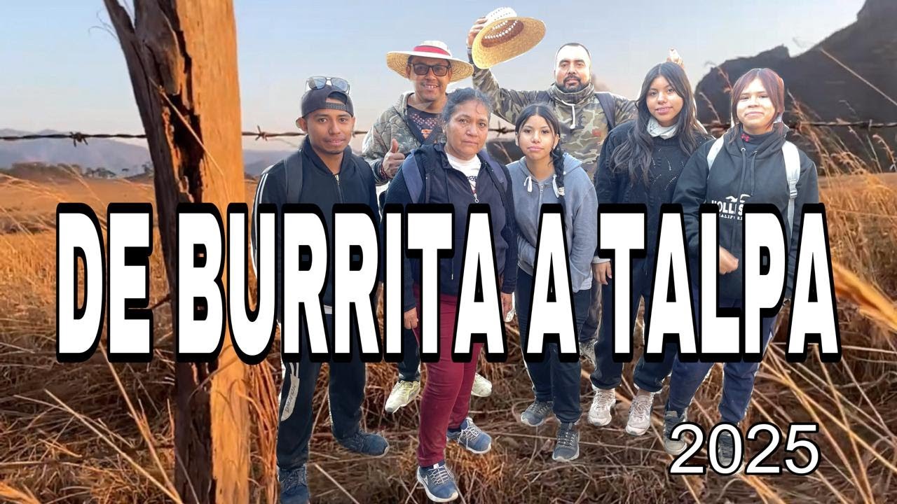 talpa 2025